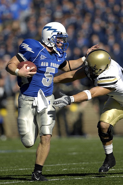 在职业生涯 在职业生涯